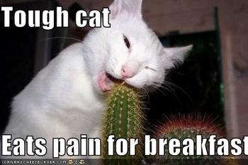polls_funny_pictures_cat_eats_pain_for_breakfast_2449_705108_poll_xlarge.jpeg